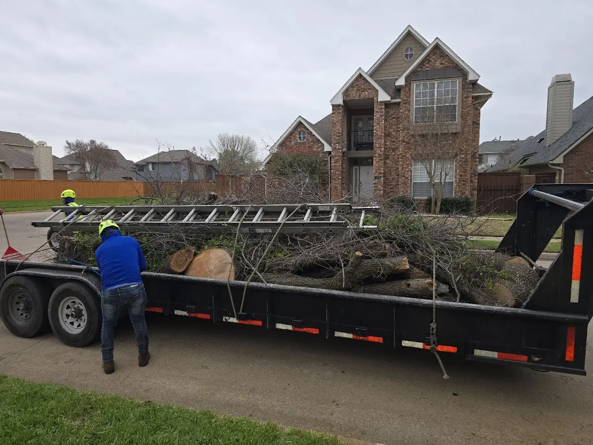 Expert Tree Pest Control with proper safety equipment in Battle Creek